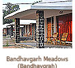 meadows1.jpg